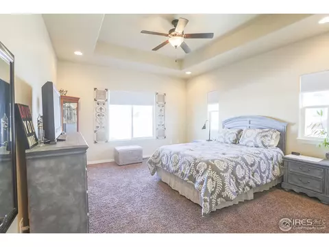 431 Gannet Peak Dr, Windsor, CO 80550 photo 21