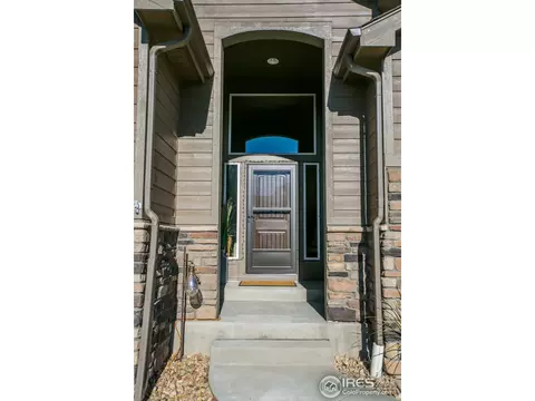 431 Gannet Peak Dr, Windsor, CO 80550 photo 4