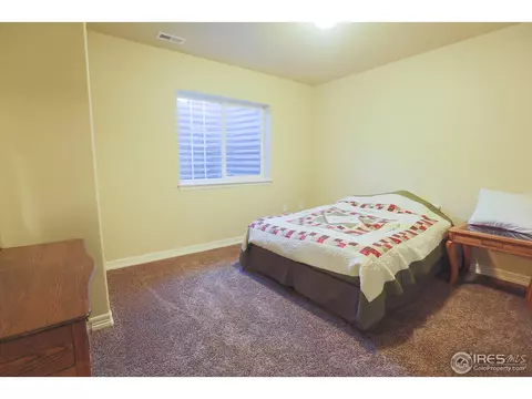 431 Gannet Peak Dr, Windsor, CO 80550 photo 29