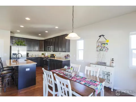 431 Gannet Peak Dr, Windsor, CO 80550 photo 12