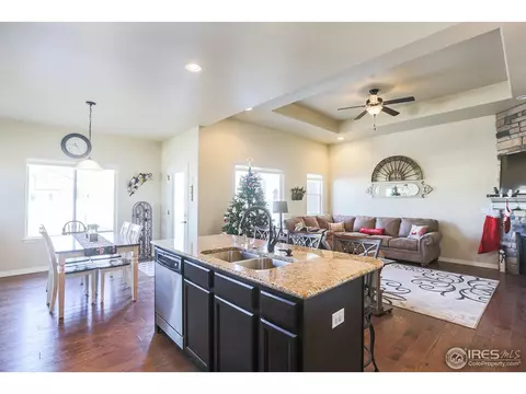 431 Gannet Peak Dr, Windsor, CO 80550 photo 9