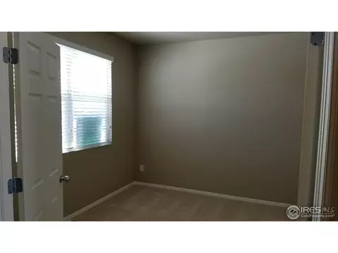 914 Pierson Ct, Windsor, CO 80550 photo 4
