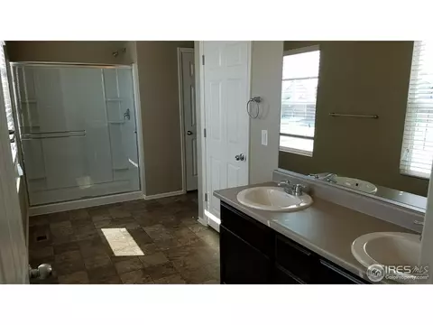 914 Pierson Ct, Windsor, CO 80550 photo 9