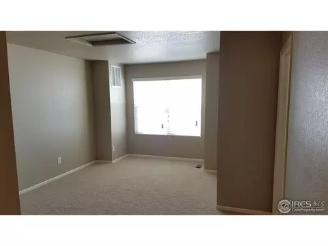 914 Pierson Ct, Windsor, CO 80550 photo 8