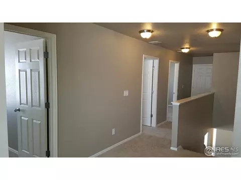 914 Pierson Ct, Windsor, CO 80550 photo 11