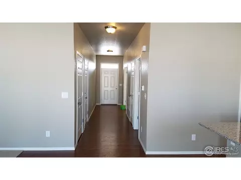 914 Pierson Ct, Windsor, CO 80550 photo 6