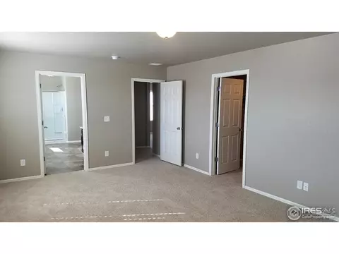 914 Pierson Ct, Windsor, CO 80550 photo 7