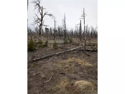 2296 Wohlstetter Loop, Fort Garland, CO 81133