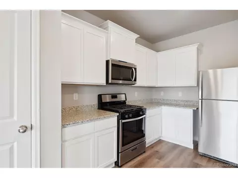 977 Ouzel Falls Rd, Severance, CO 80550 photo 3