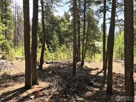 119 Timber Dr, Black Hawk, CO 80422 photo 4
