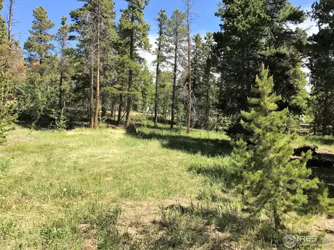 119 Timber Dr, Black Hawk, CO 80422 photo 6