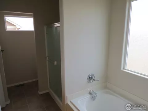 726 Elk Mountain Dr, Windsor, CO 80550 photo 17