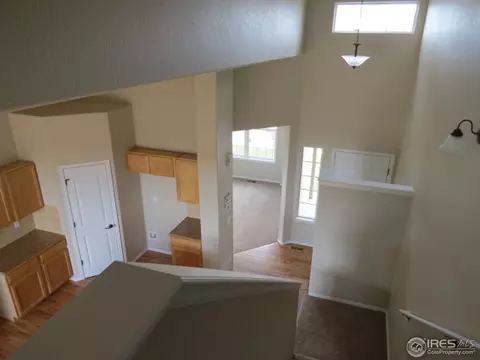 726 Elk Mountain Dr, Windsor, CO 80550 photo 9
