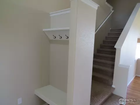 726 Elk Mountain Dr, Windsor, CO 80550 photo 11