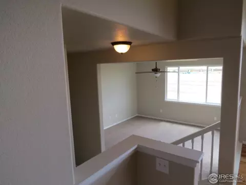 726 Elk Mountain Dr, Windsor, CO 80550 photo 16