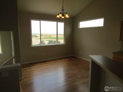 726 Elk Mountain Dr, Windsor, CO 80550 photo 10