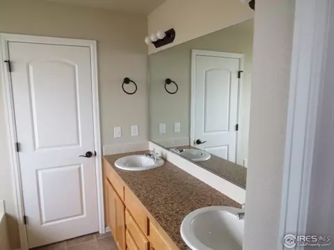 726 Elk Mountain Dr, Windsor, CO 80550 photo 18