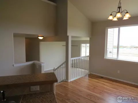 726 Elk Mountain Dr, Windsor, CO 80550 photo 5