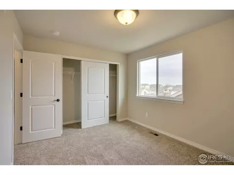 382 Mt Bross Ave, Windsor, CO 80550 photo 23