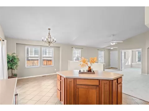 20469 E Doane Dr, Aurora, CO 80013 photo 11