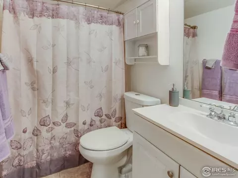 4113 E 107th Pl, Thornton, CO 80233 photo 28
