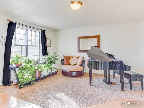 4113 E 107th Pl, Thornton, CO 80233 photo 3