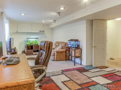 4113 E 107th Pl, Thornton, CO 80233 photo 24