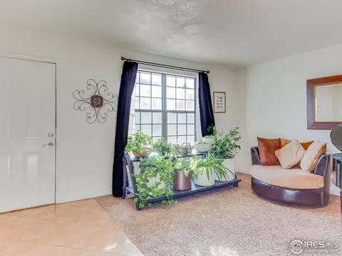 4113 E 107th Pl, Thornton, CO 80233 photo 4
