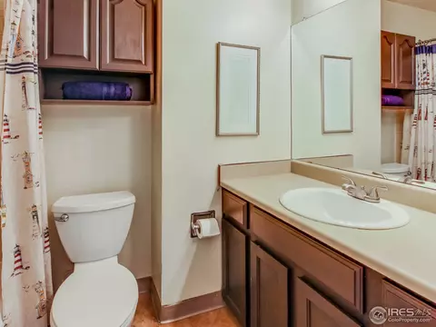 4113 E 107th Pl, Thornton, CO 80233 photo 22