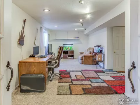 4113 E 107th Pl, Thornton, CO 80233 photo 23