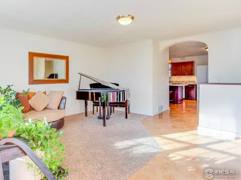 4113 E 107th Pl, Thornton, CO 80233 photo 5