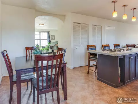 4113 E 107th Pl, Thornton, CO 80233 photo 10