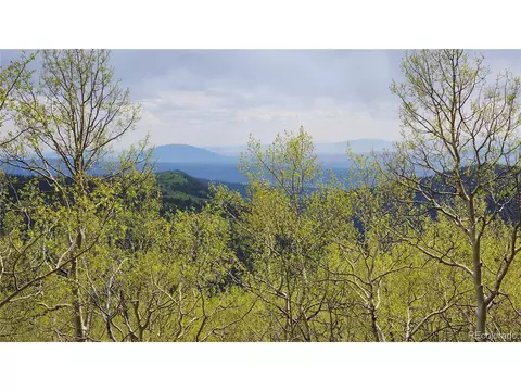6884 Donna Rd, Fort Garland, CO 81133