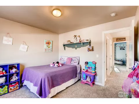 1735 Exeter St, Berthoud, CO 80513 photo 17