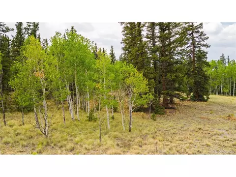 811 S Quarter Horse Rd, Como, CO 80432 photo 3
