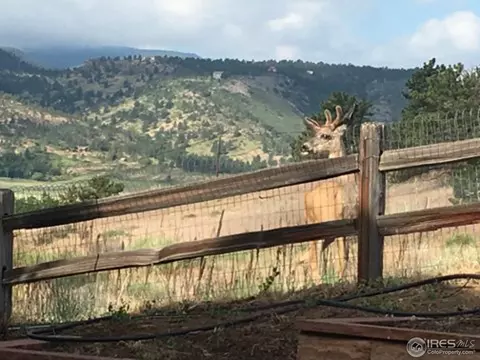 129 Eagle Valley Dr, Lyons, CO 80540 photo 34