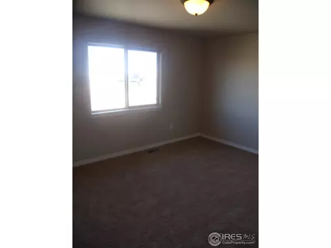 463 Kit Carson Ave, Windsor, CO 80550 photo 34