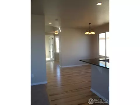 463 Kit Carson Ave, Windsor, CO 80550 photo 14
