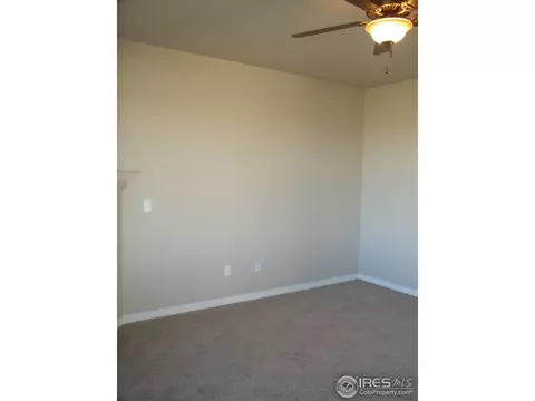 463 Kit Carson Ave, Windsor, CO 80550 photo 19