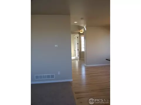 463 Kit Carson Ave, Windsor, CO 80550 photo 16