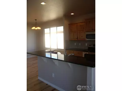 463 Kit Carson Ave, Windsor, CO 80550 photo 5