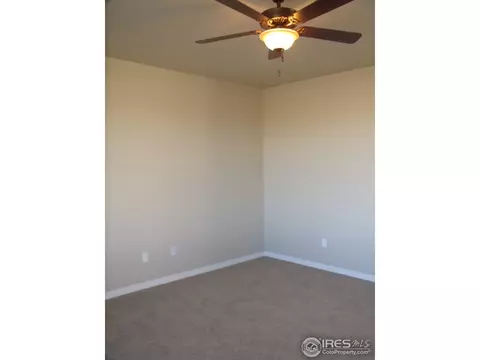 463 Kit Carson Ave, Windsor, CO 80550 photo 18