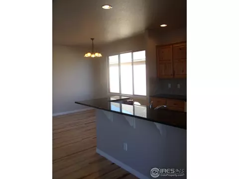 463 Kit Carson Ave, Windsor, CO 80550 photo 6