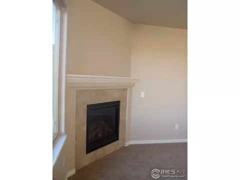 463 Kit Carson Ave, Windsor, CO 80550 photo 21