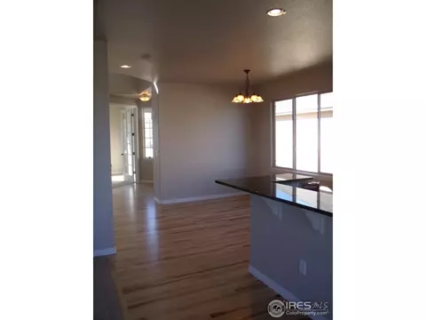 463 Kit Carson Ave, Windsor, CO 80550 photo 12