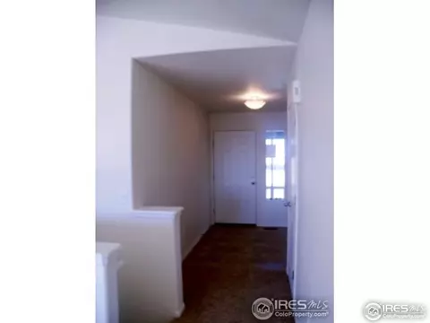 729 Elk Mountain Dr, Windsor, CO 80550 photo 5