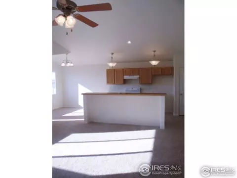 729 Elk Mountain Dr, Windsor, CO 80550 photo 4