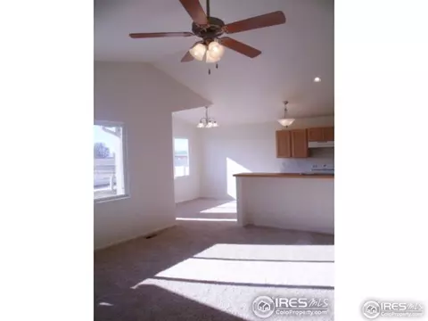 729 Elk Mountain Dr, Windsor, CO 80550 photo 8