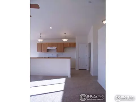 729 Elk Mountain Dr, Windsor, CO 80550 photo 6