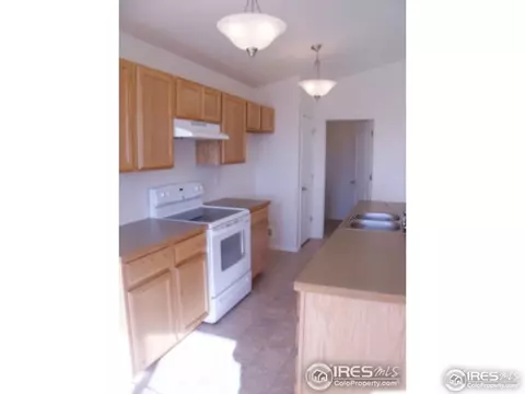 729 Elk Mountain Dr, Windsor, CO 80550 photo 11